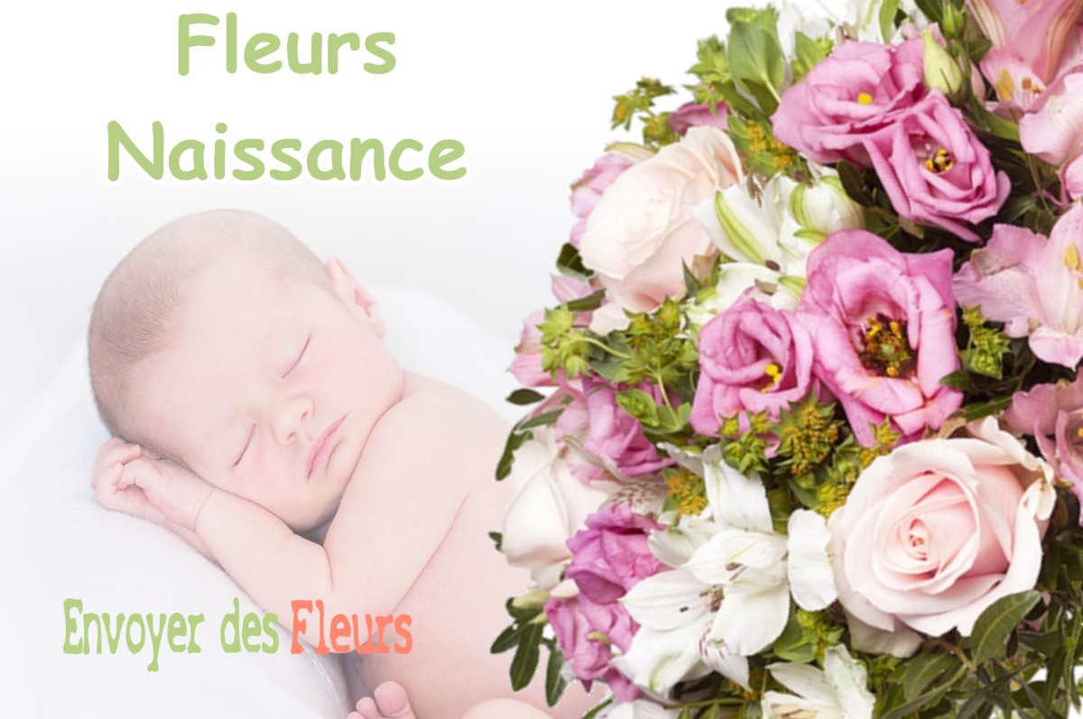 lIVRAISON FLEURS NAISSANCE à LABASTIDE-CHALOSSE